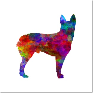 Australian Stumpy Tail Cattle Dog in watercolor Posters and Art